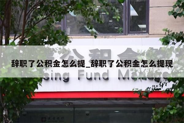 辞职了公积金怎么提_辞职了公积金怎么提现